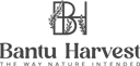 Bantu Harvest